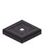 Jabuticaba Trapdoor