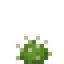 Mini Cactus