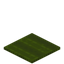 Rectangle Green Carpet