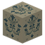 Wall Pattern 13