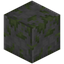 Polished Mossy Stone Bricks