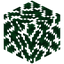 Oak Leaves