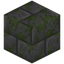 Infested Mossy Stone Bricks