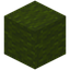 Crafted Green Wool