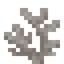 Dead Horn Coral