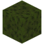Spongy Moss Block