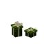 Couple Green Presents