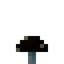 Black Mushroom