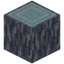Starlit Log