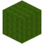 Soft Lime Wool