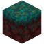 Warped Nylium