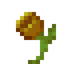 Glimmering Brown Flower