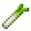 Leek