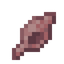 Roseate Seashell