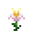 Yellow Daffodil