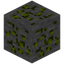 Inferium Ore
