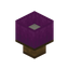 Magenta Lamp