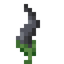 Mystical Gray Flower