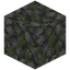 Trodden Mossy Cobblestone