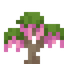 Pink Wisteria Sapling