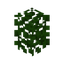 Acacia Hedge