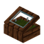 Green Zelkova Display Case