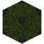 Moss Block 2x