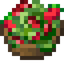 Farmer Salad
