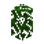 Dark Oak Hedge