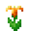 Glimmering Orange Flower
