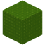 Knitted Lime Wool