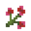 Ruby Blossoms