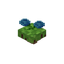 Floating Hydroangeas