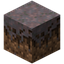 Mycelium