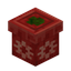 Red Present