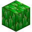 Block of Diopside