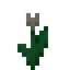 White Tulip