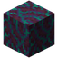 Warped Hyphae