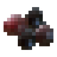 Elderberry