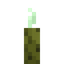 Sea Pickle