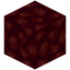 Scabbed Nether Wart Block