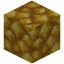 Block of Raw Gold