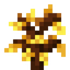 Aurum Sapling