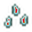 Slimesteel Seeds