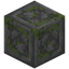 Bordered Mossy Stone Bricks