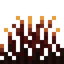 Brimsprout