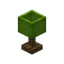 Lime Lamp
