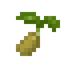 Cantaloupe Seed