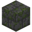 Cracked Mossy Stone Bricks Bricks