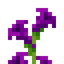 Tall Mystical Purple Flower